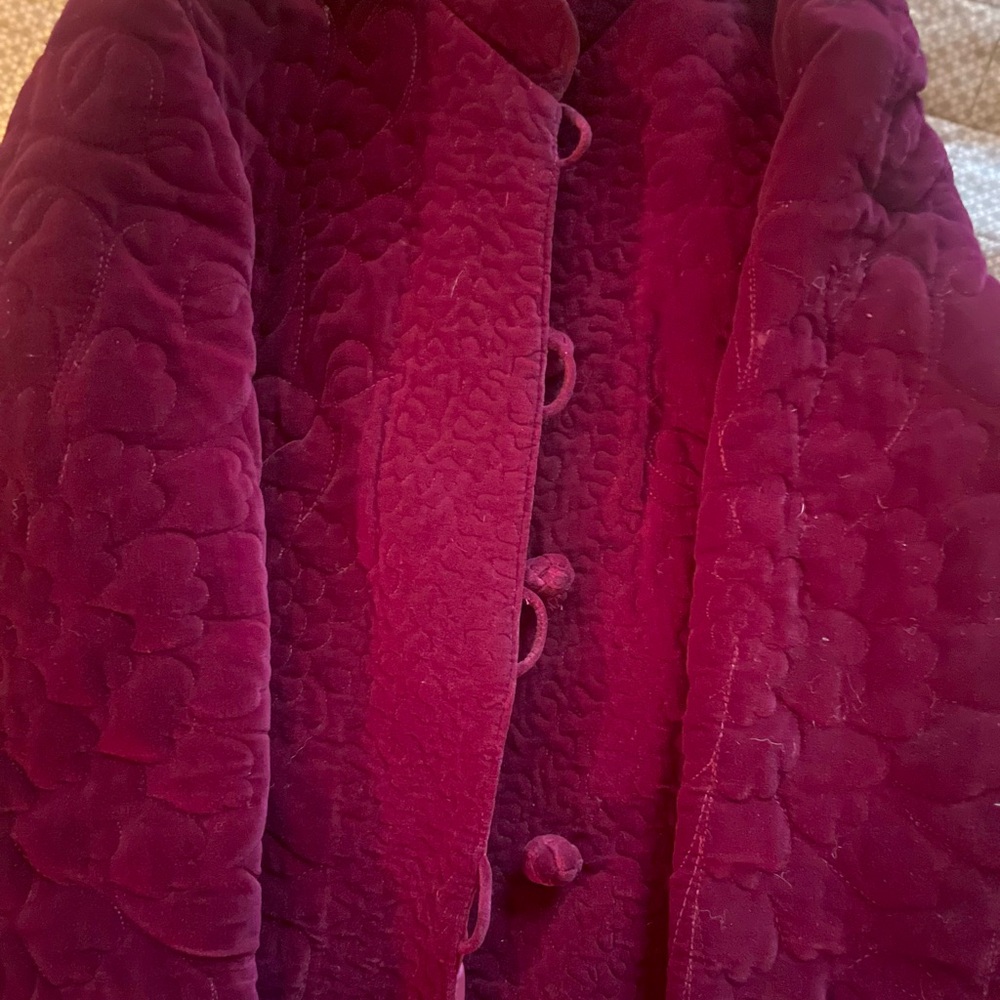 Vintage Velvet Burgundy Jacket with Embroidery - Picture 10 of 12